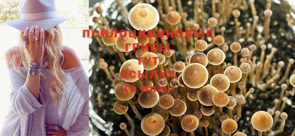 меф VHQ Козловка