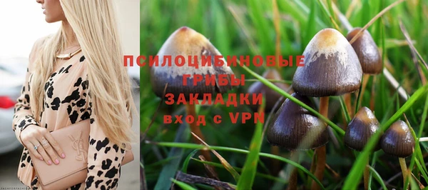 меф VHQ Козловка