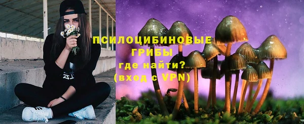 соль ск Кодинск